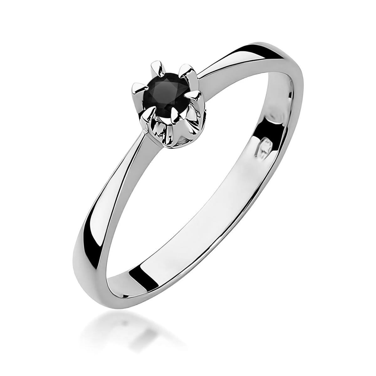 W0111.B5.DIB.01_1