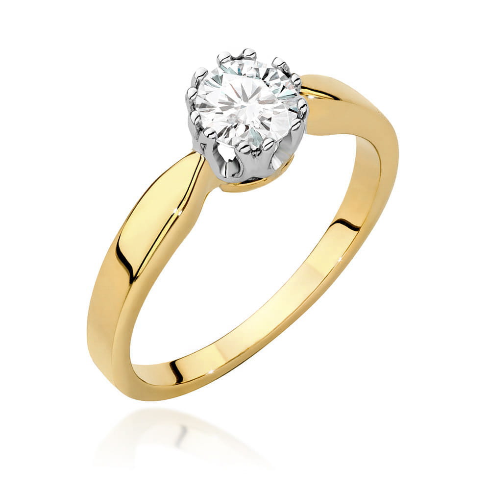 W0541.Z5.LDW.02_1